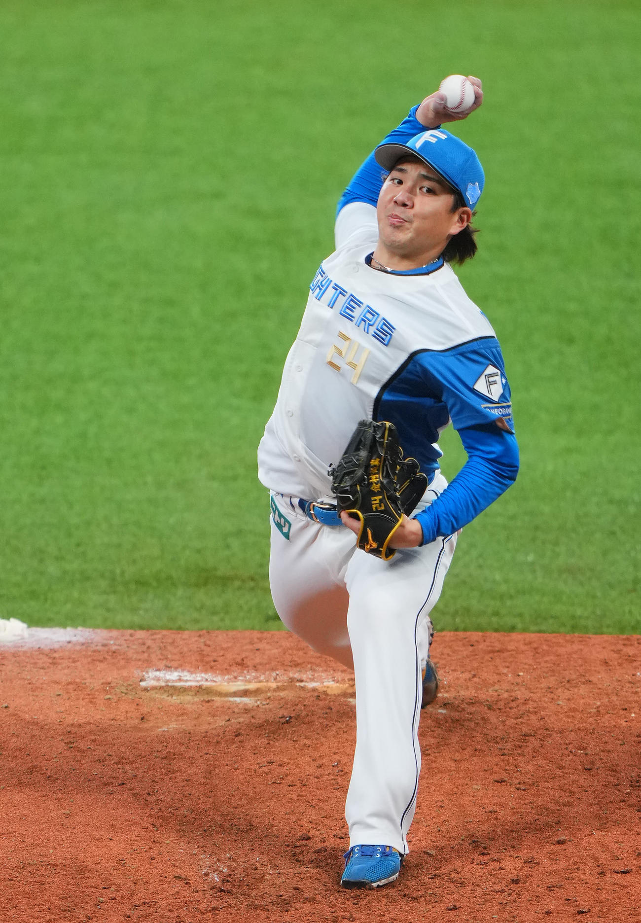 日本ハム対巨人　力投する日本ハム先発の金村（撮影・垰建太）