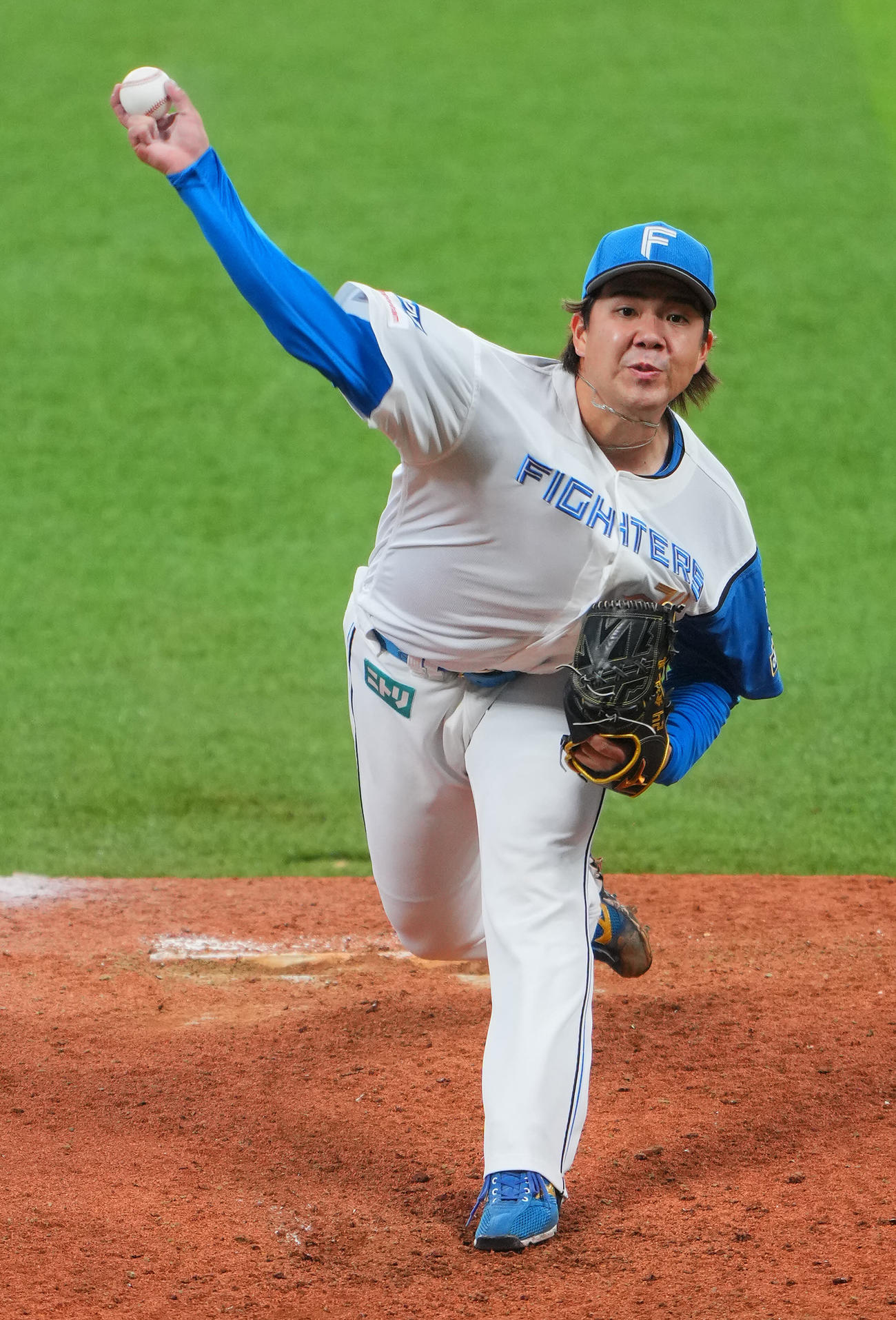 日本ハム対巨人　力投する日本ハム先発の金村（撮影・垰建太）