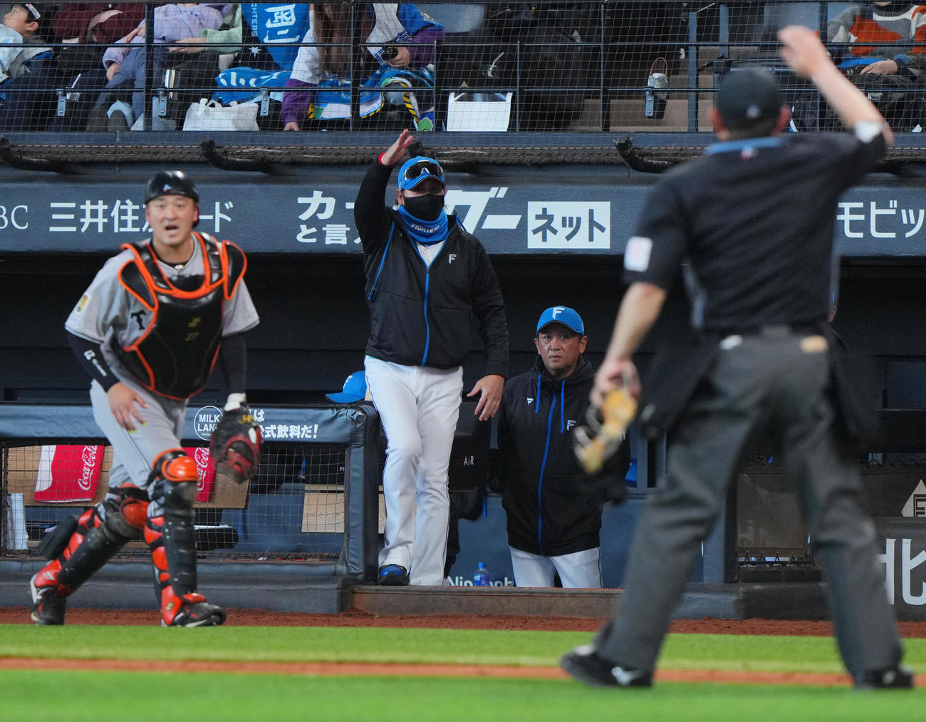 日本ハム対巨人　8回裏日本ハム1死、代打を告げる新庄監督（中央）（撮影・垰建太）