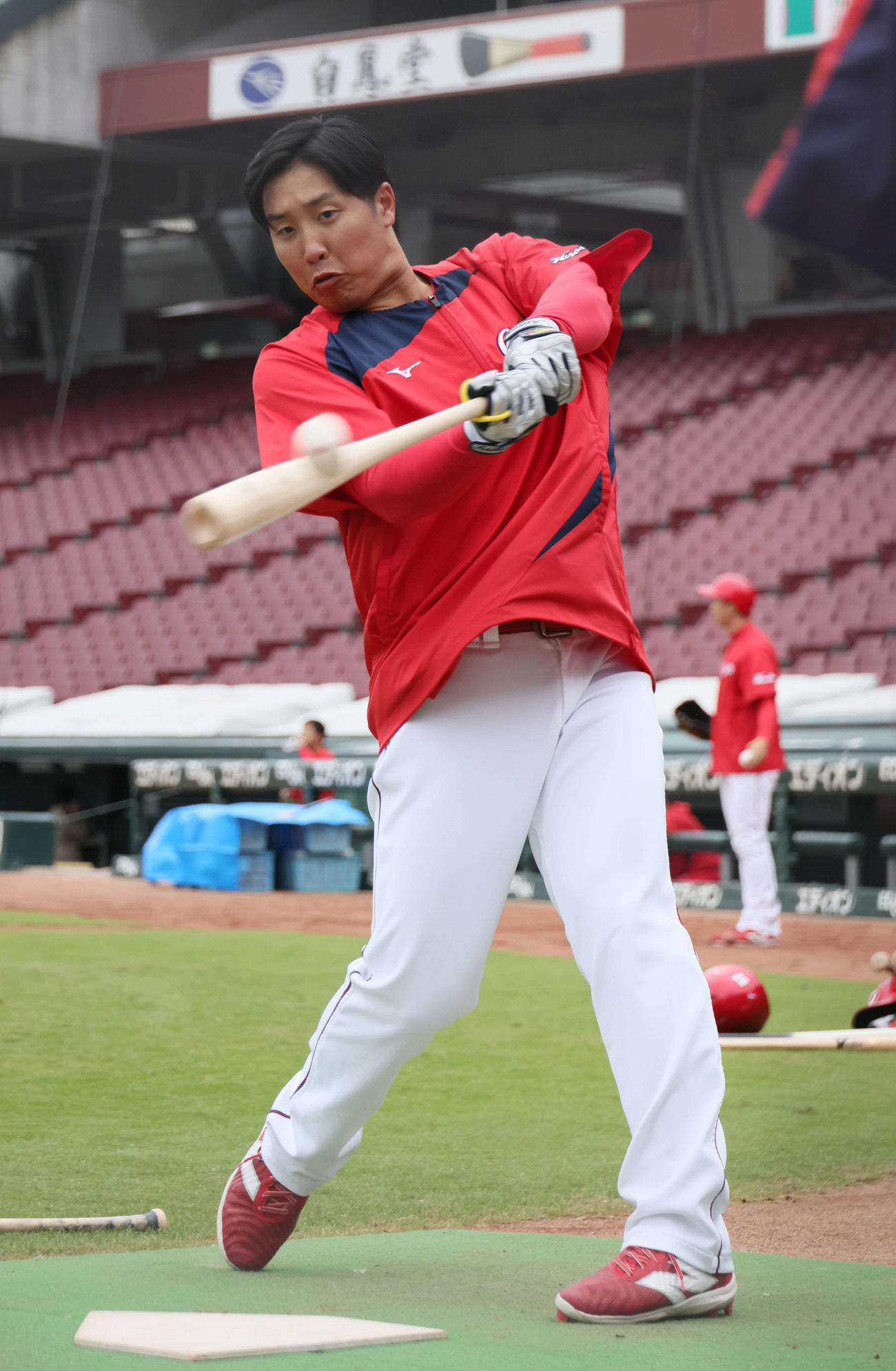 広島石原貴規（2024年10月29日撮影）