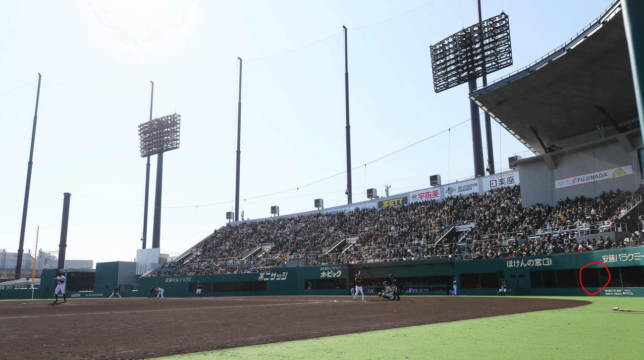 デュプランティエ（左）らの登板を見つめた阪神藤川監督（BOX内）（撮影・宮崎幸一）