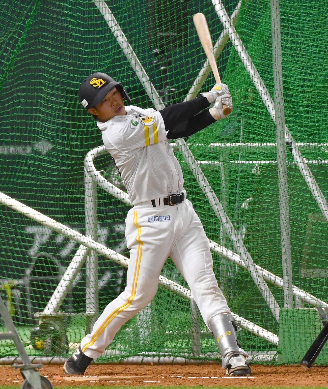 フリー打撃を行うソフトバンク井上（撮影・岩下翔太）