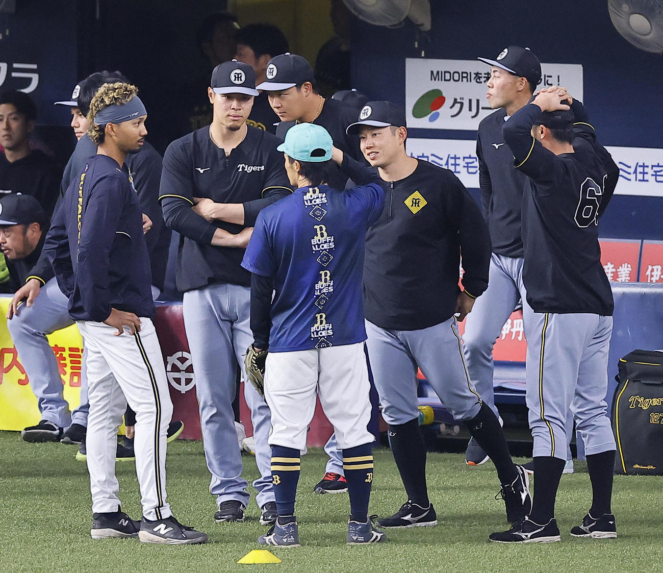 オリックス対阪神　オリックス宗（左端）、福田らと話しをする阪神佐藤輝（左から2人目）、糸原ら（撮影・藤尾明華）