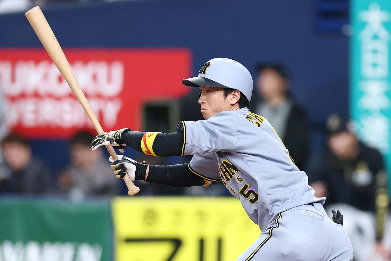 オリックス対阪神　7回表阪神1死一塁、中前打を放つ近本（撮影・前田充）