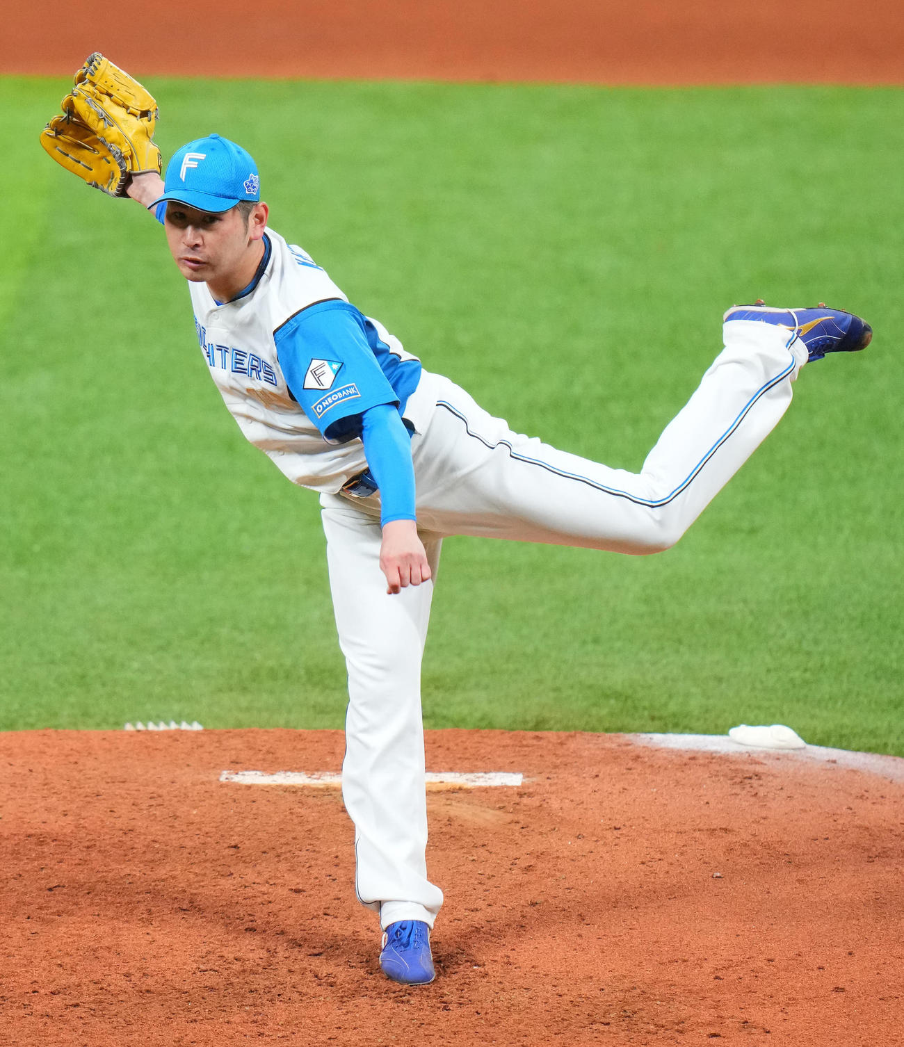 日本ハム対ヤクルト　力投する日本ハム先発の加藤貴（撮影・垰建太）