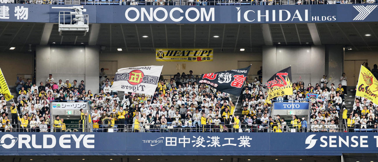 阪神対オリックス　声援を送る阪神ファン（撮影・加藤哉）