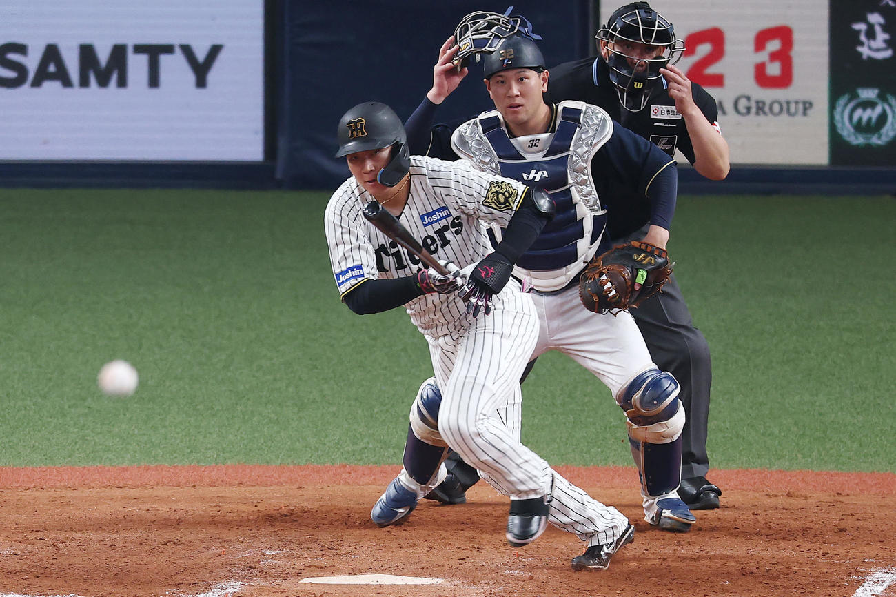 阪神対オリックス　8回裏阪神2死一、二塁、同点の中前適時打を放つ大山（撮影・前田充）