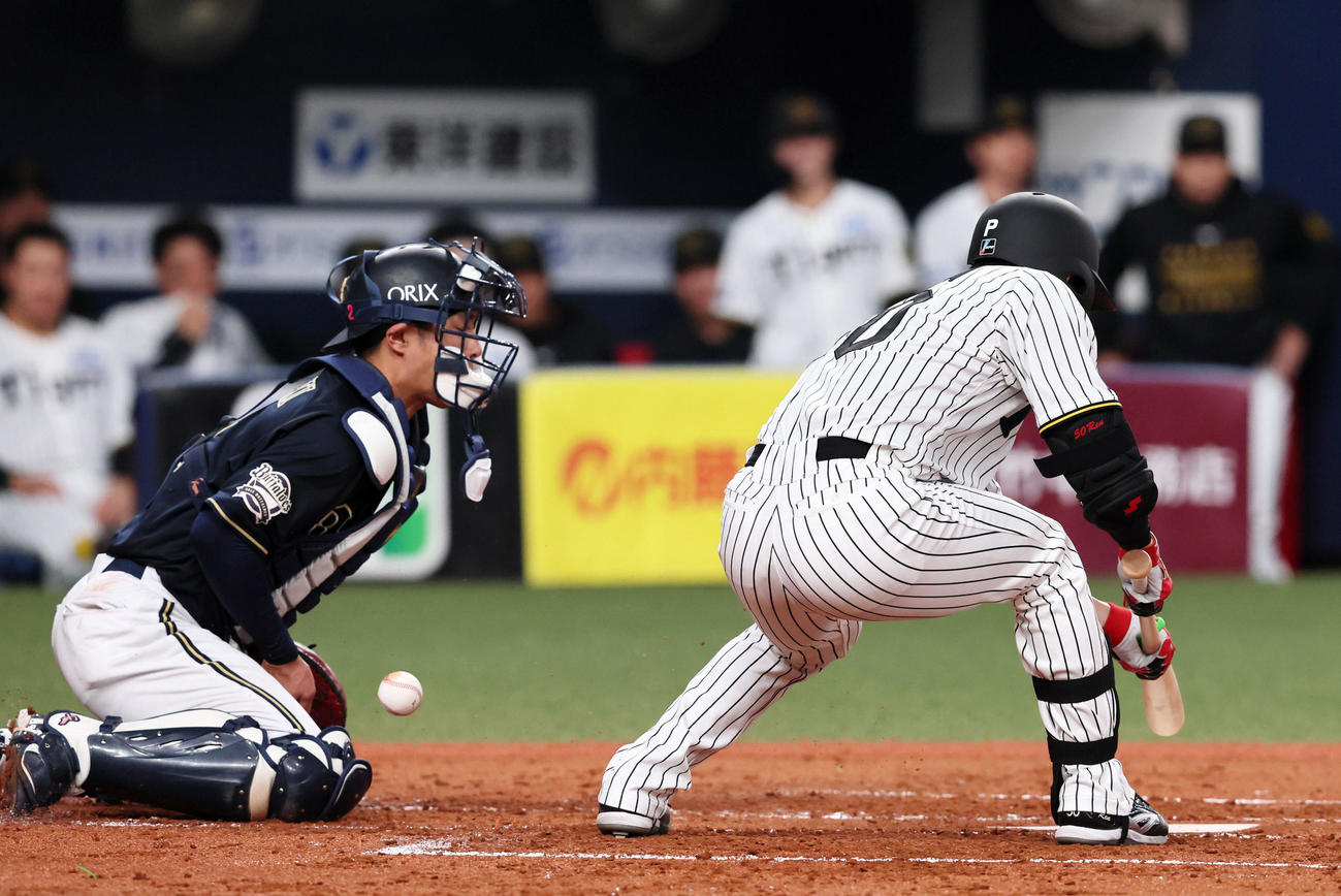 阪神対オリックス　2回裏阪神1死一塁、スリーバント失敗の富田（撮影・加藤哉）