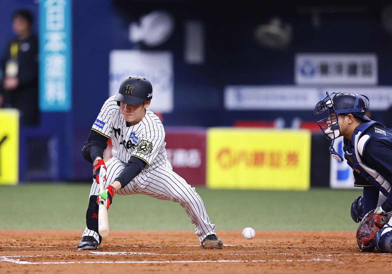 阪神対オリックス　3回裏阪神1死一塁、バントの構えも空振り三振に倒れる富田（撮影・藤尾明華）