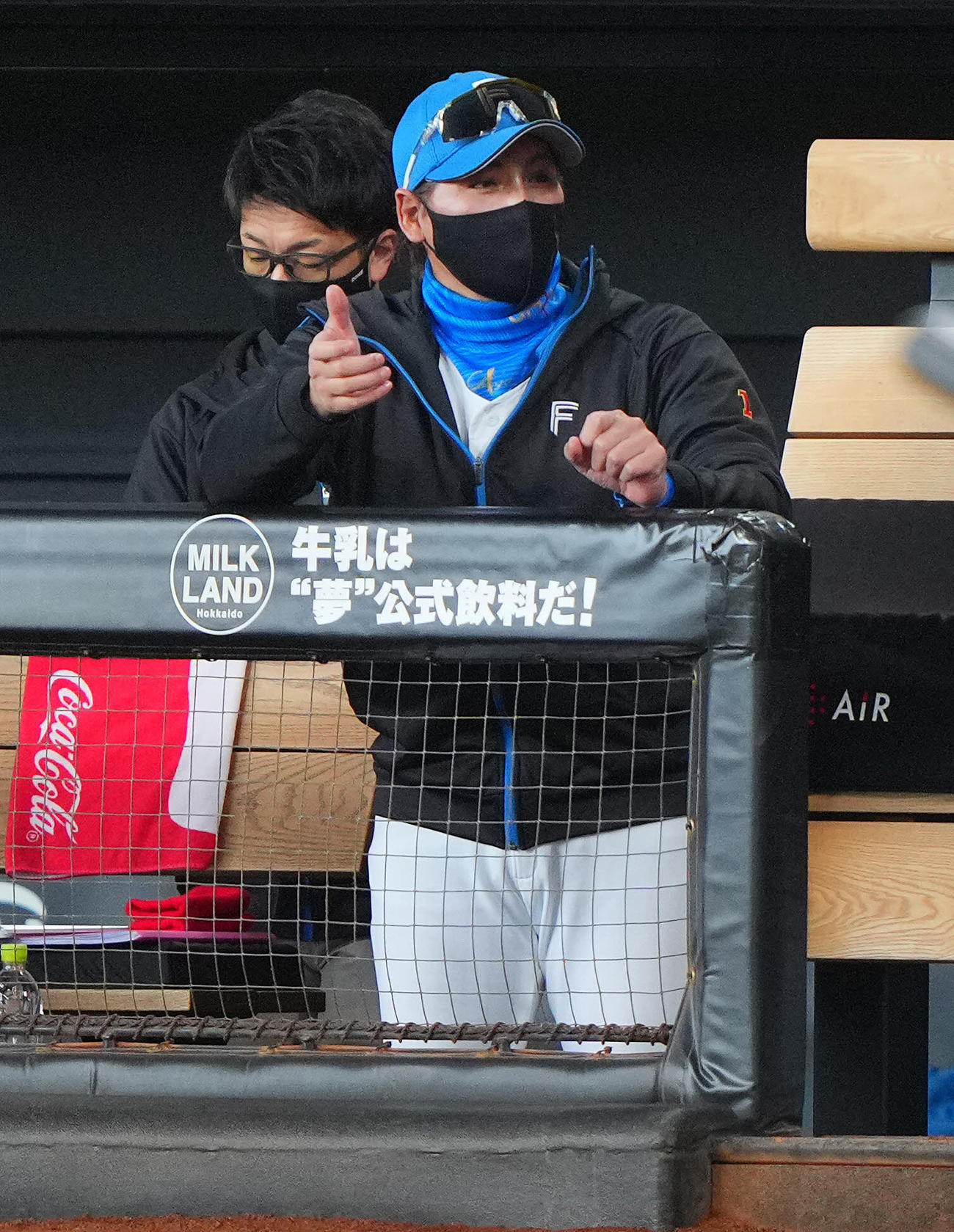 日本ハム対ヤクルト　2回裏日本ハム1死満塁、ベンチでバントのようなしぐさを見せる新庄監督（撮影・垰建太）