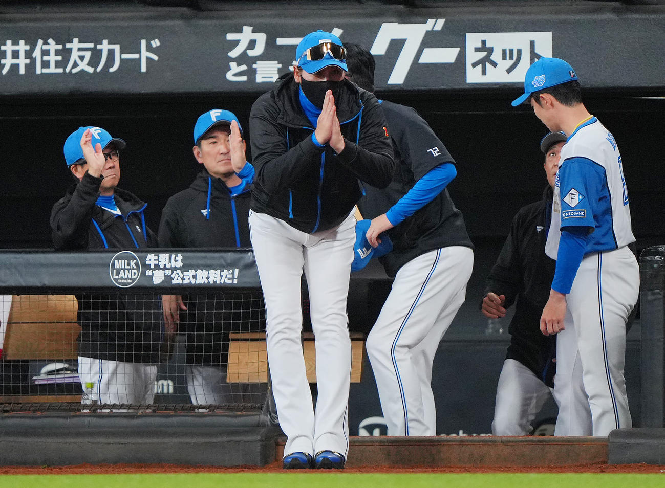 日本ハム対ヤクルト　試合に勝利しベンチを出てジェスチャーでヤクルトベンチに死球を謝罪する日本ハム新庄監督（撮影・垰建太）