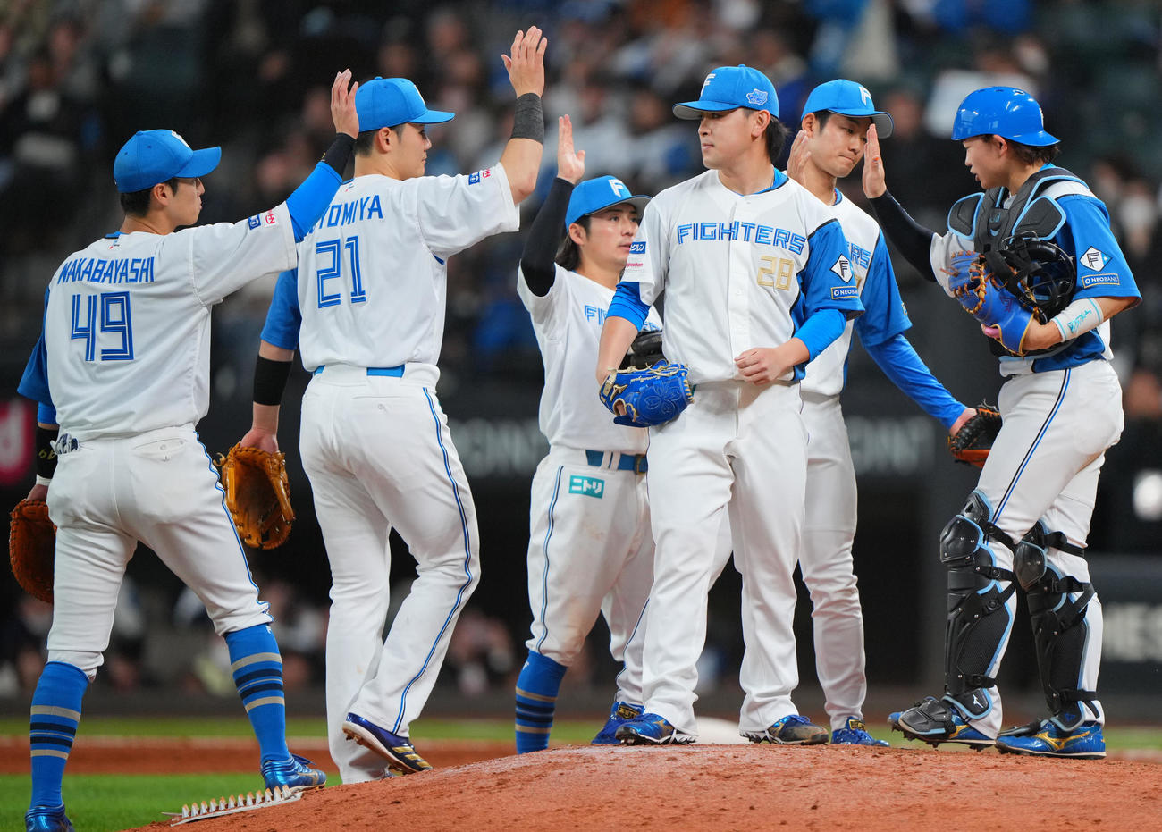 日本ハム対ヤクルト　試合に勝利しタッチを交わす日本ハムナイン（撮影・垰建太）