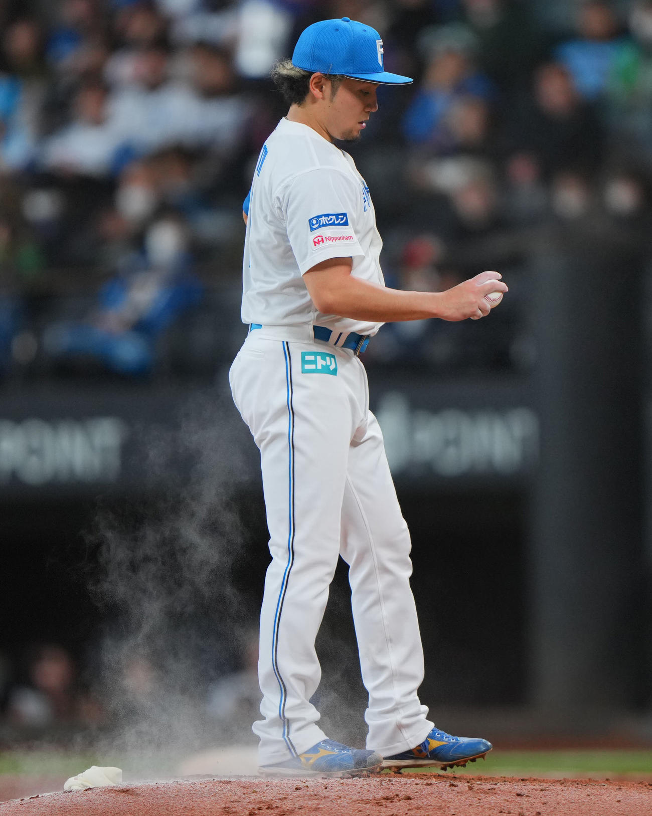 日本ハム対ヤクルト　6回表ヤクルト1死、赤羽、長岡と2打席連続で本塁打を浴びうつむく伊藤（撮影・垰建太）
