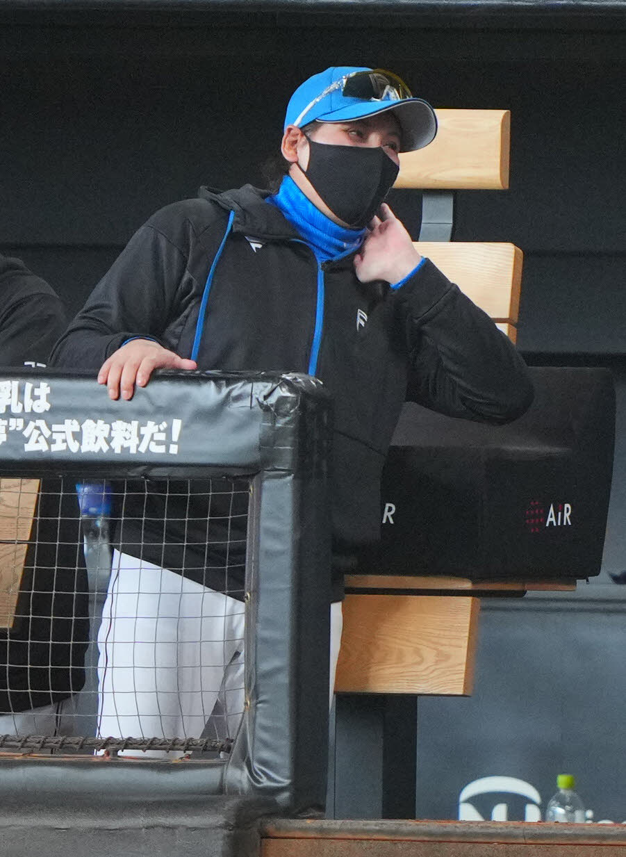 日本ハム対ヤクルト　3回表ヤクルト無死、野村の好捕を見てベンチで笑顔の新庄監督（撮影・垰建太）