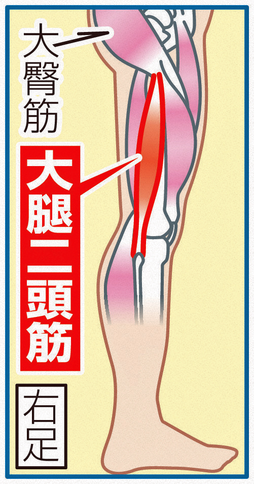 巨人丸の故障箇所