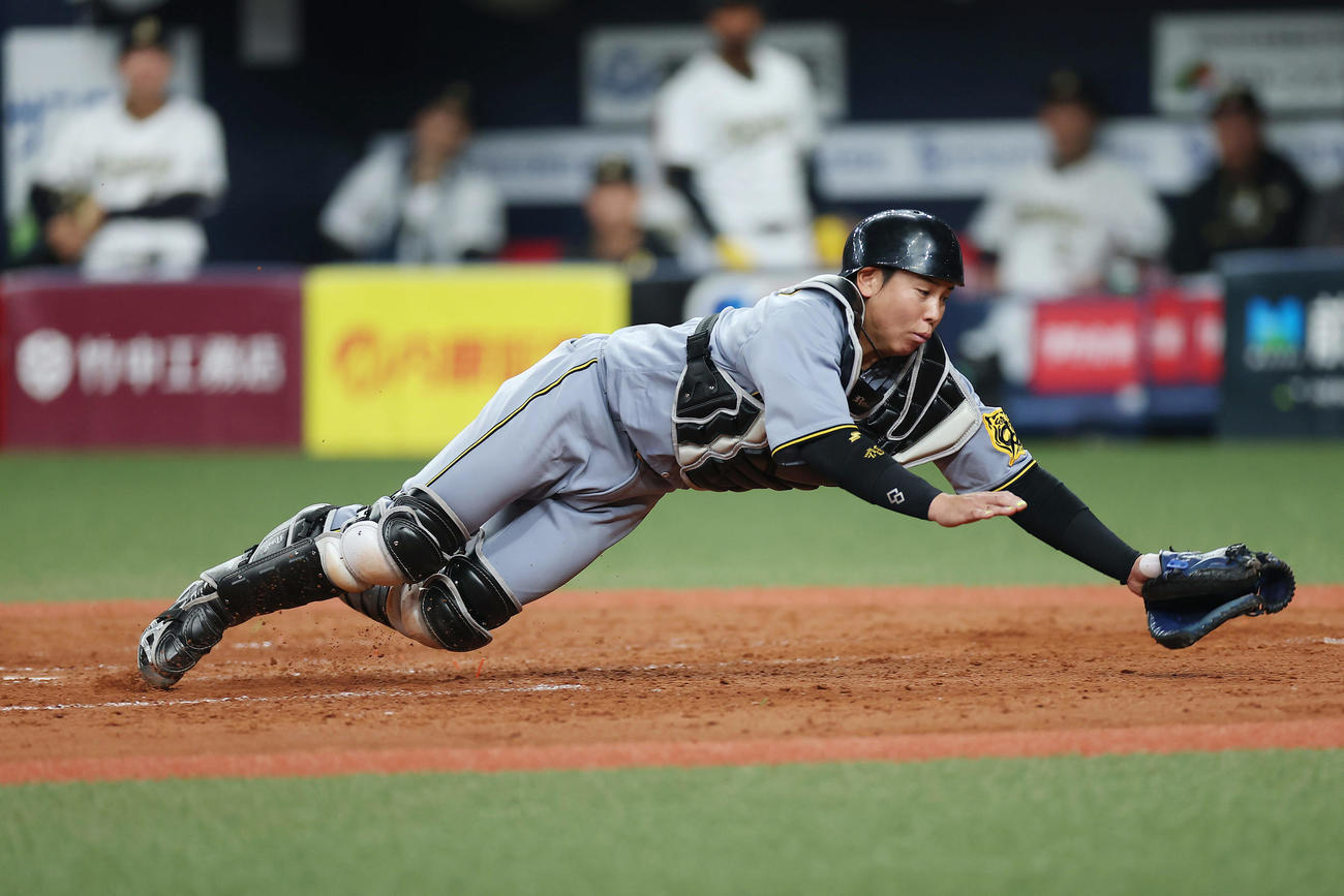 オリックス対阪神　5回裏オリックス1死一、三塁、太田の三ゴロを処理した佐藤輝からの送球に飛びつくも捕球できない梅野（撮影・前田充）