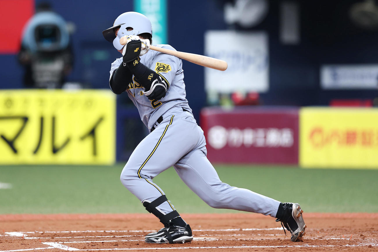 オリックス対阪神　2回表阪神1死一塁、左前打を放つ近本（撮影・前田充）