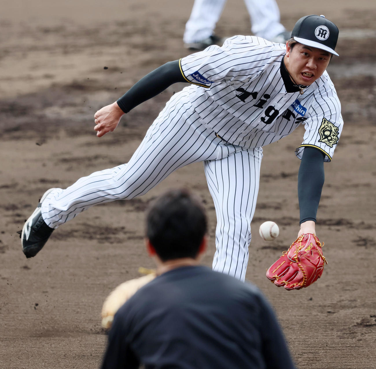 投手指名練習に参加し投内連係プレーの練習で本塁へボールをトスする才木（撮影・加藤哉）