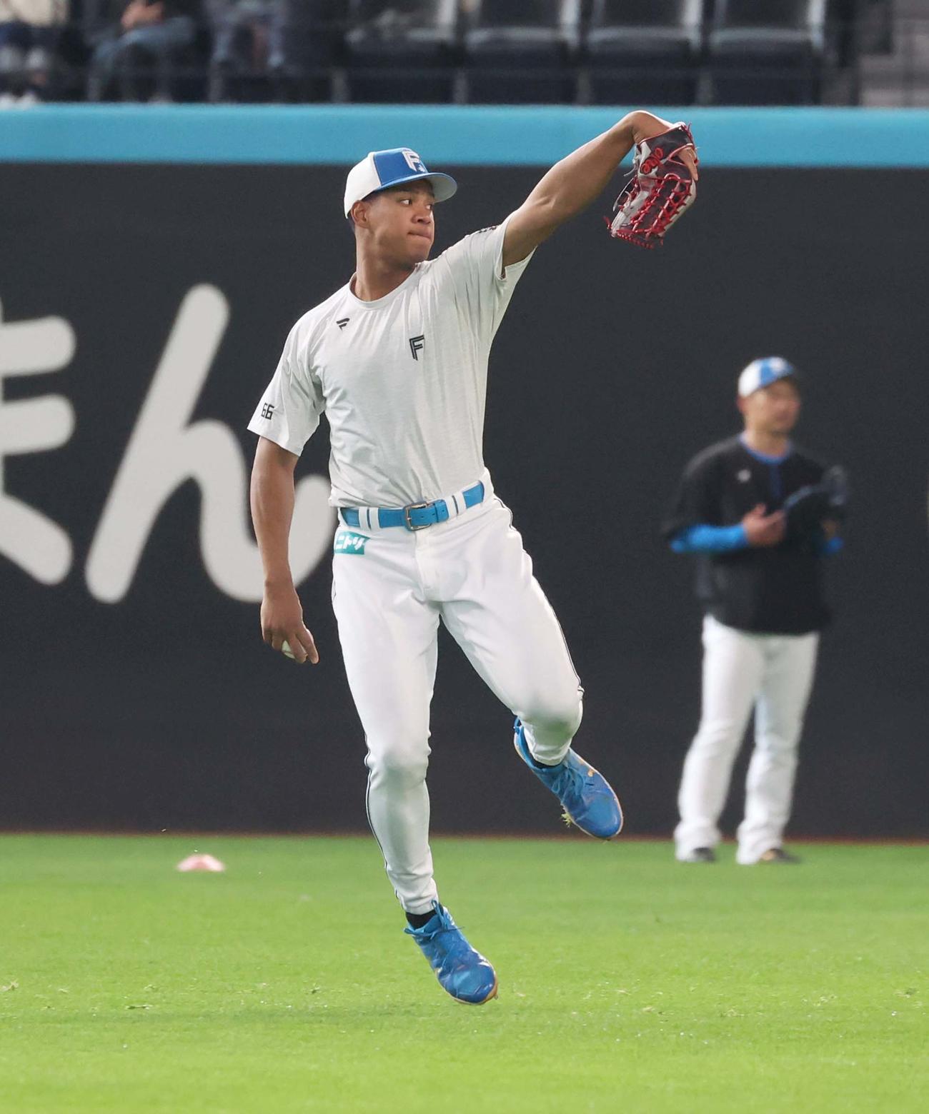 外野守備練習をする日本ハム万波（撮影・黒川智章）