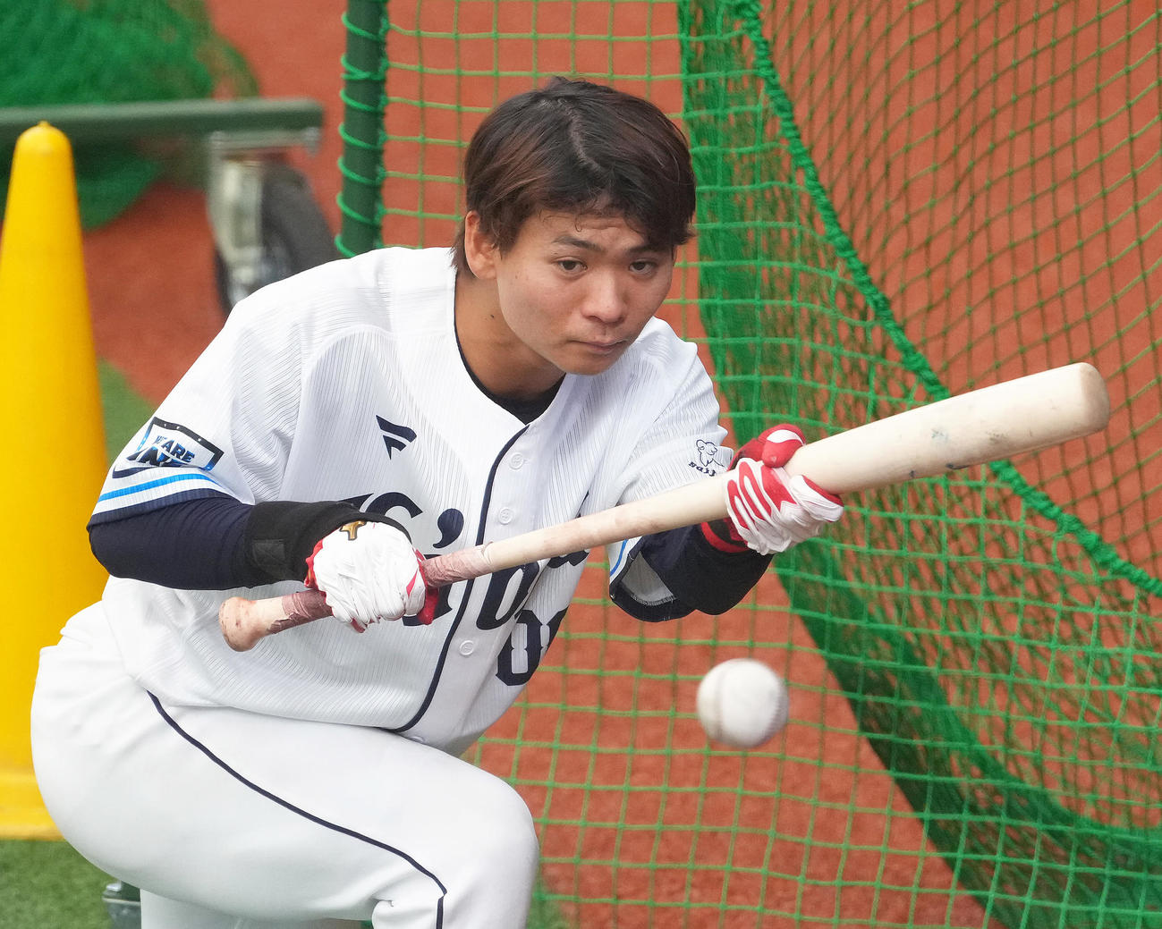バント練習する西武仲田（撮影・足立雅史）