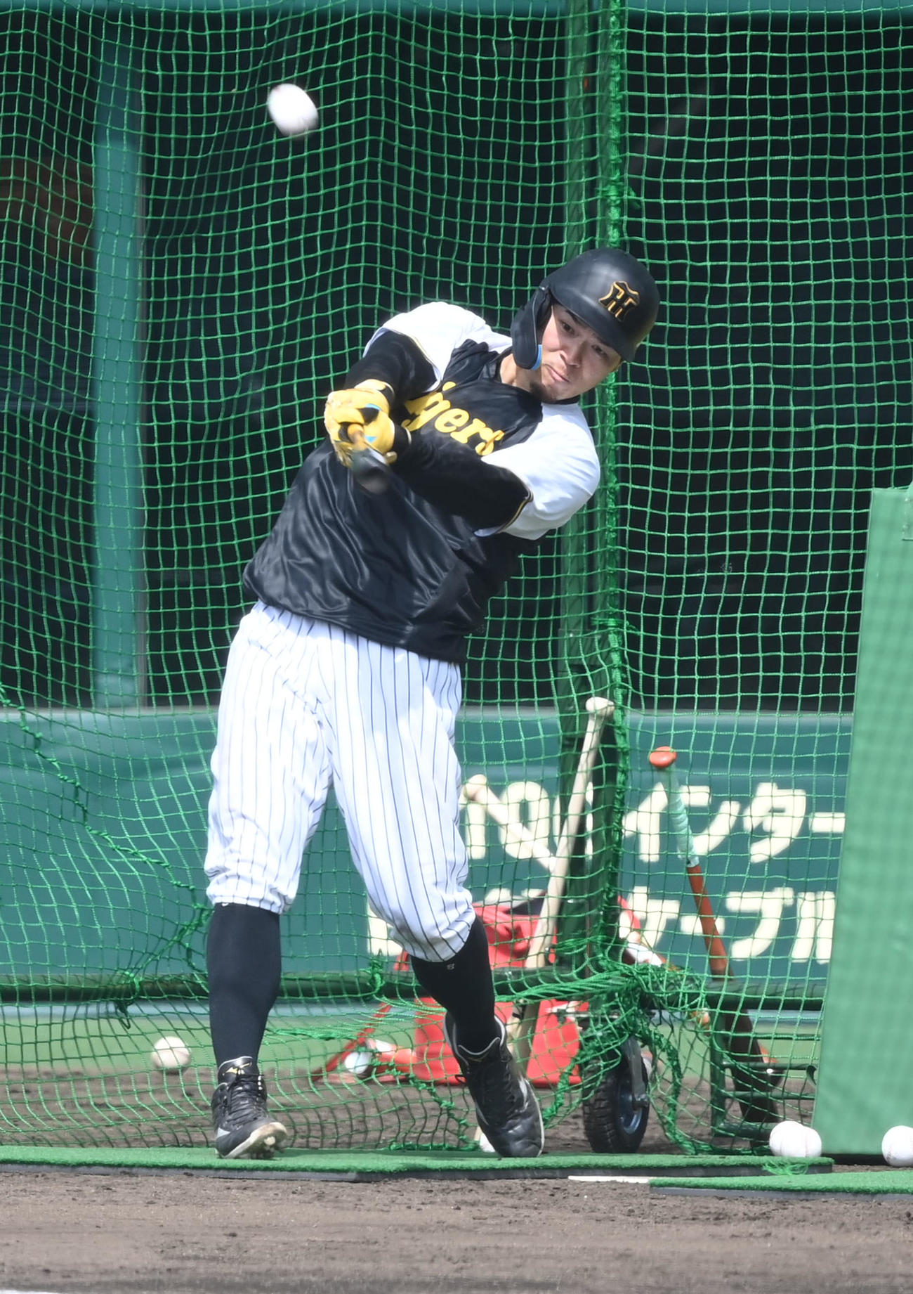 打撃練習を行う阪神佐藤輝（撮影・前岡正明）