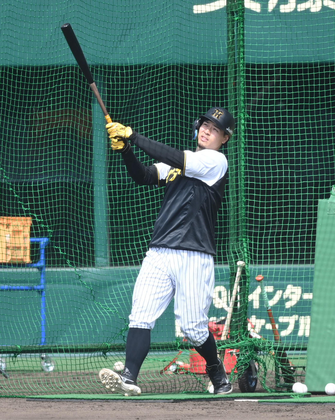 打撃練習を行う阪神佐藤輝（撮影・前岡正明）
