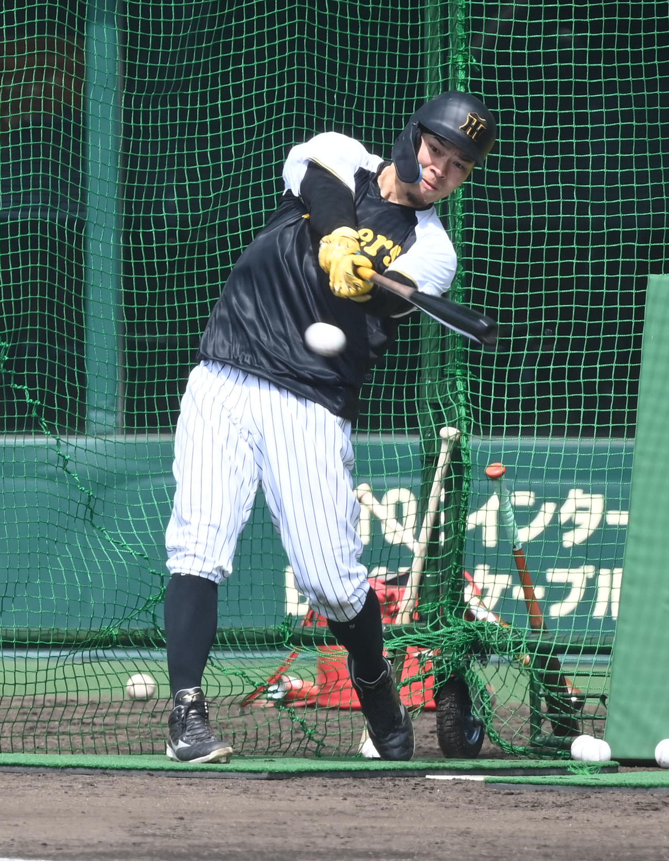 打撃練習を行う阪神佐藤輝（撮影・前岡正明）