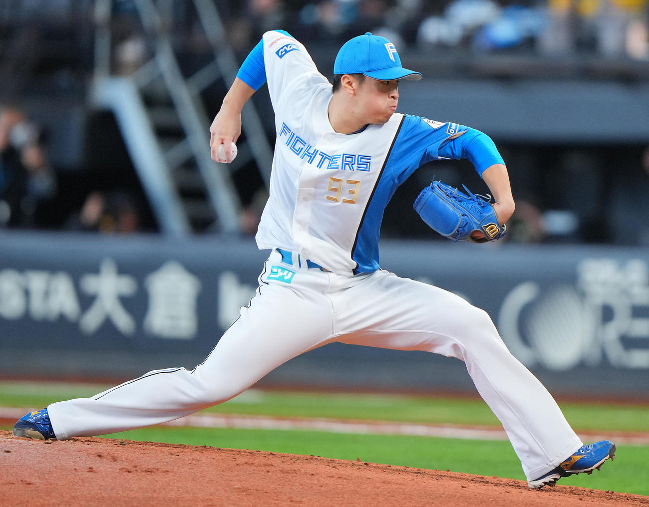日本ハム松岡洸希（2025年3月19日撮影）