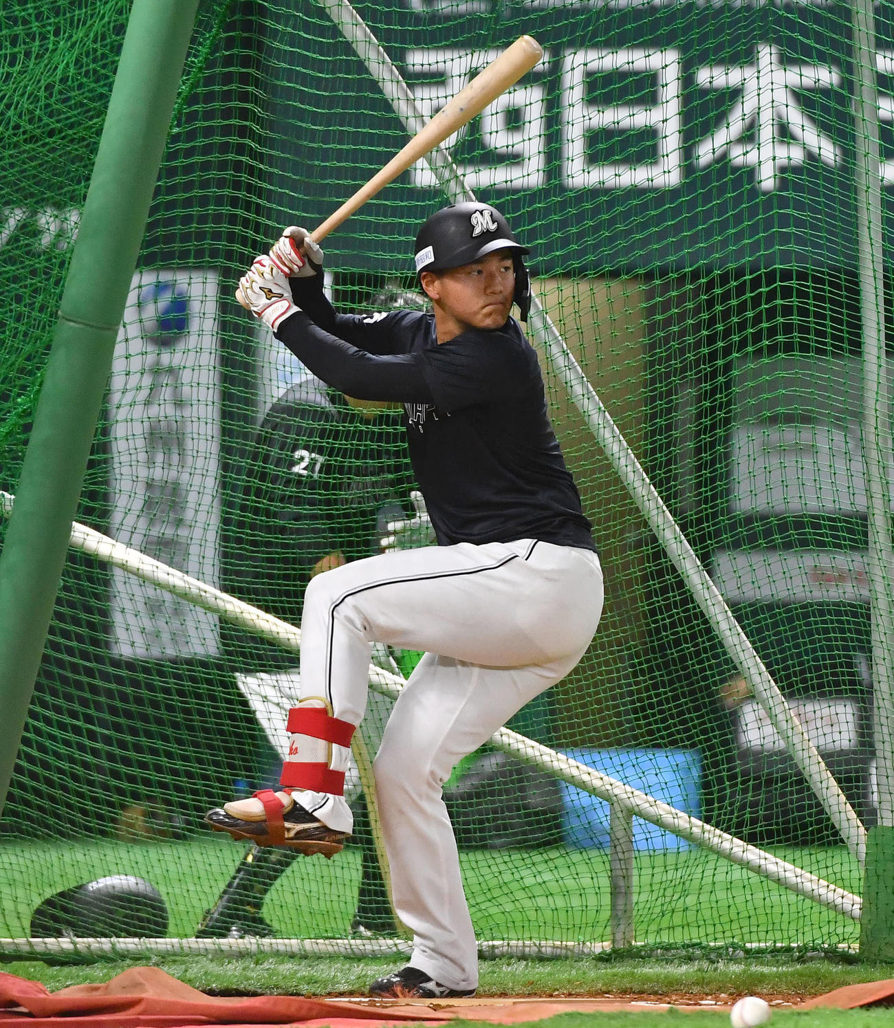 フリー打撃を行うロッテ西川（撮影・岩下翔太）