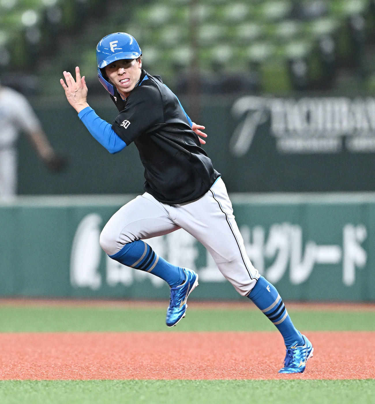 走塁練習する日本ハム五十幡（撮影・滝沢徹郎）