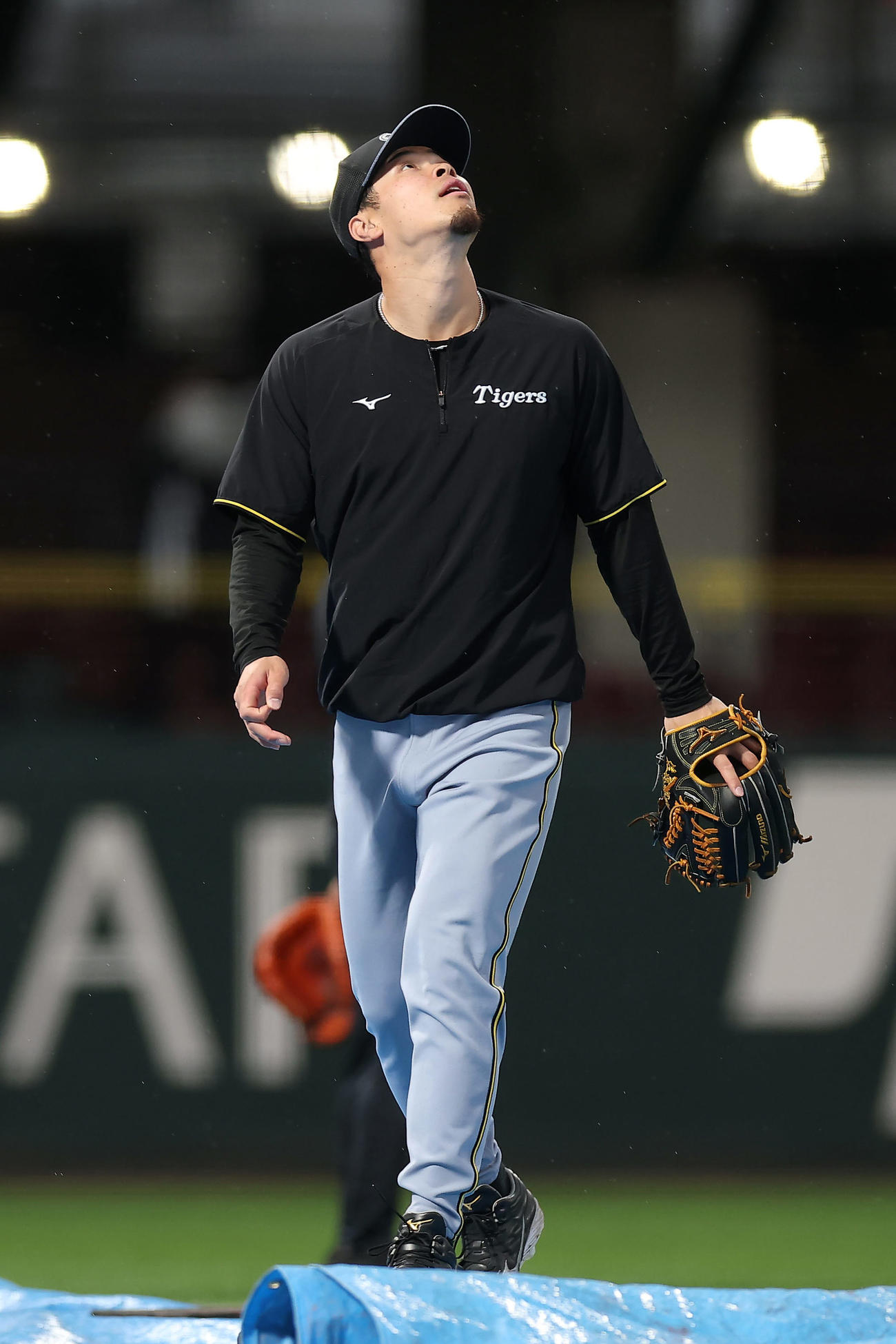 捕球練習で照明を確認した阪神佐藤輝（撮影・前田充）
