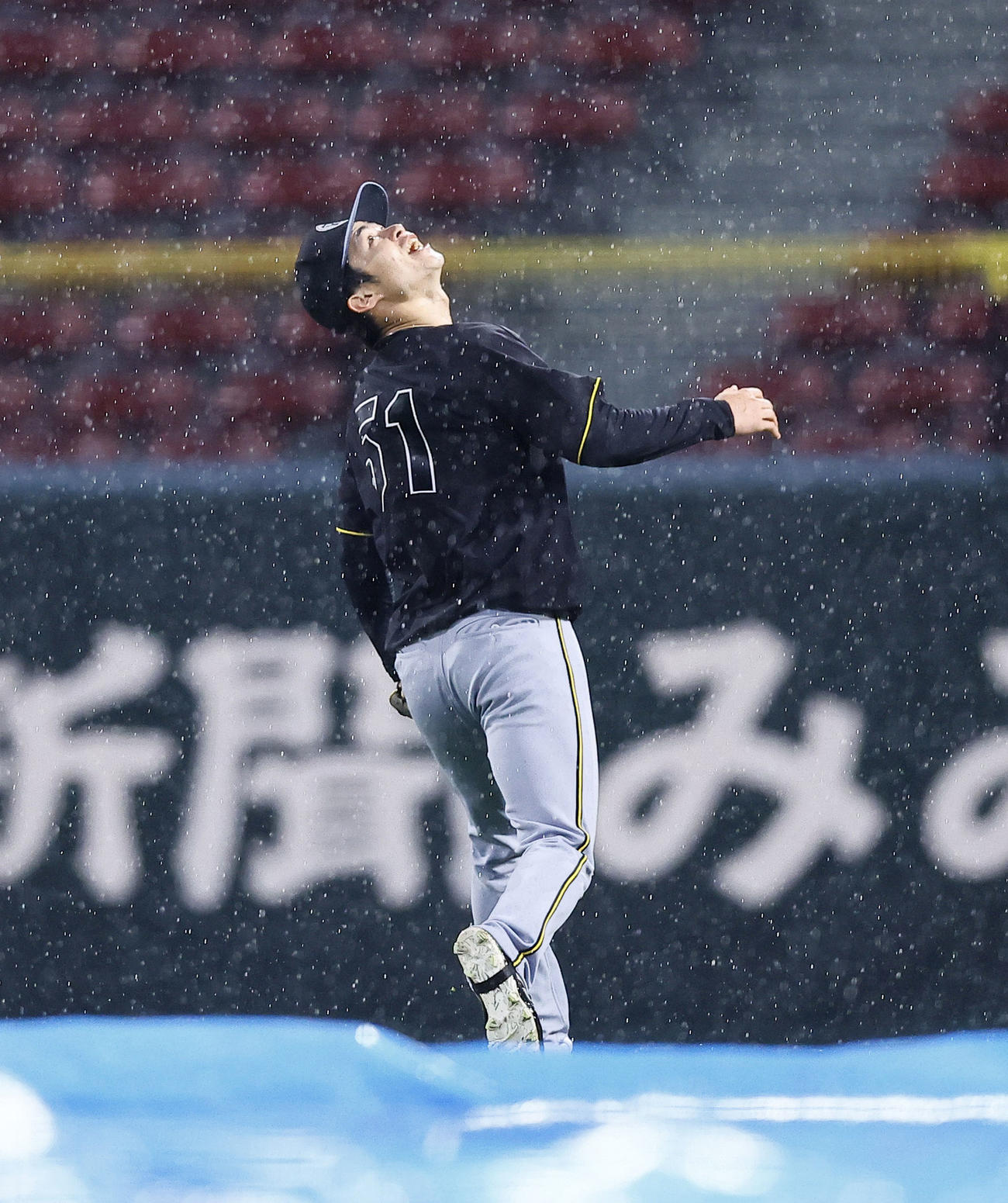 雨の中、守備練習をする阪神中野（撮影・藤尾明華）