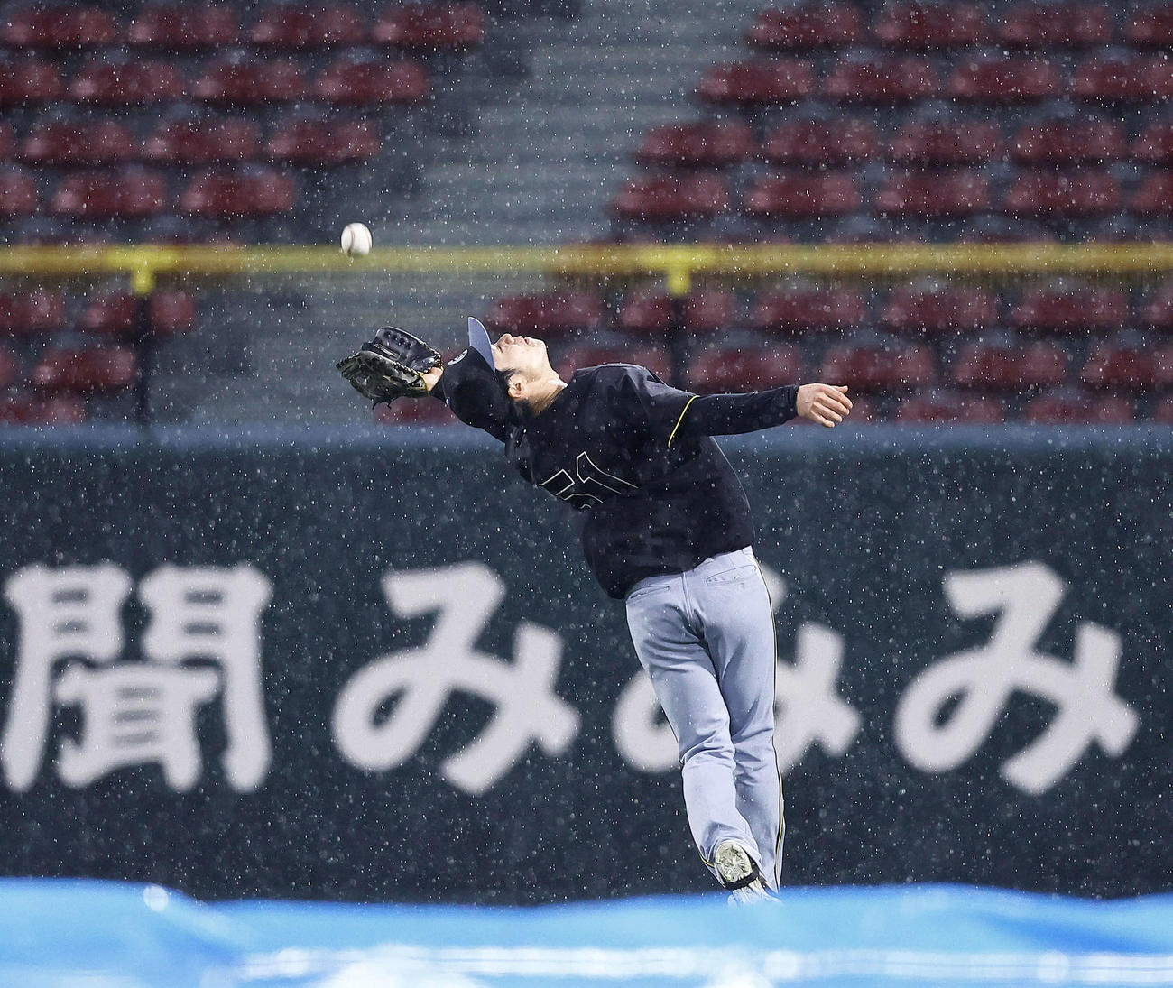 雨の中、守備練習をする阪神中野（撮影・藤尾明華）