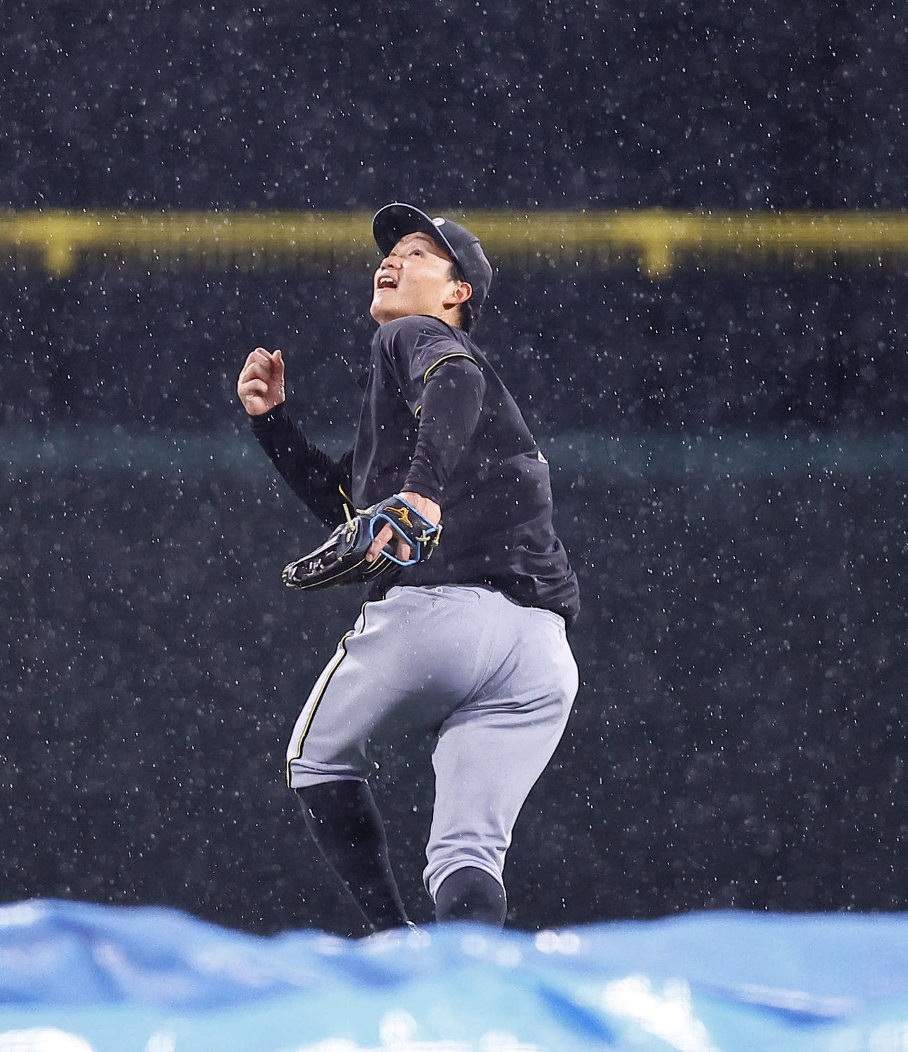 雨の中、守備練習をする阪神森下（撮影・藤尾明華）