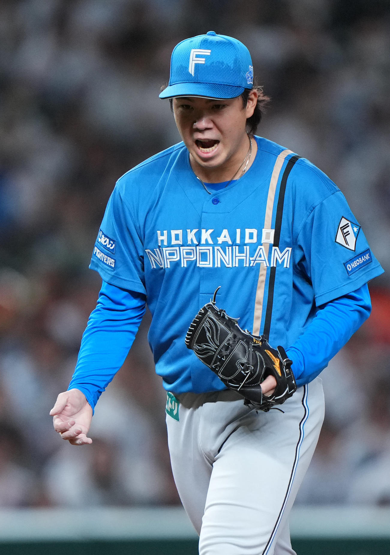 西武対日本ハム　4回裏を無失点に抑えほえる日本ハム金村（撮影・横山健太）