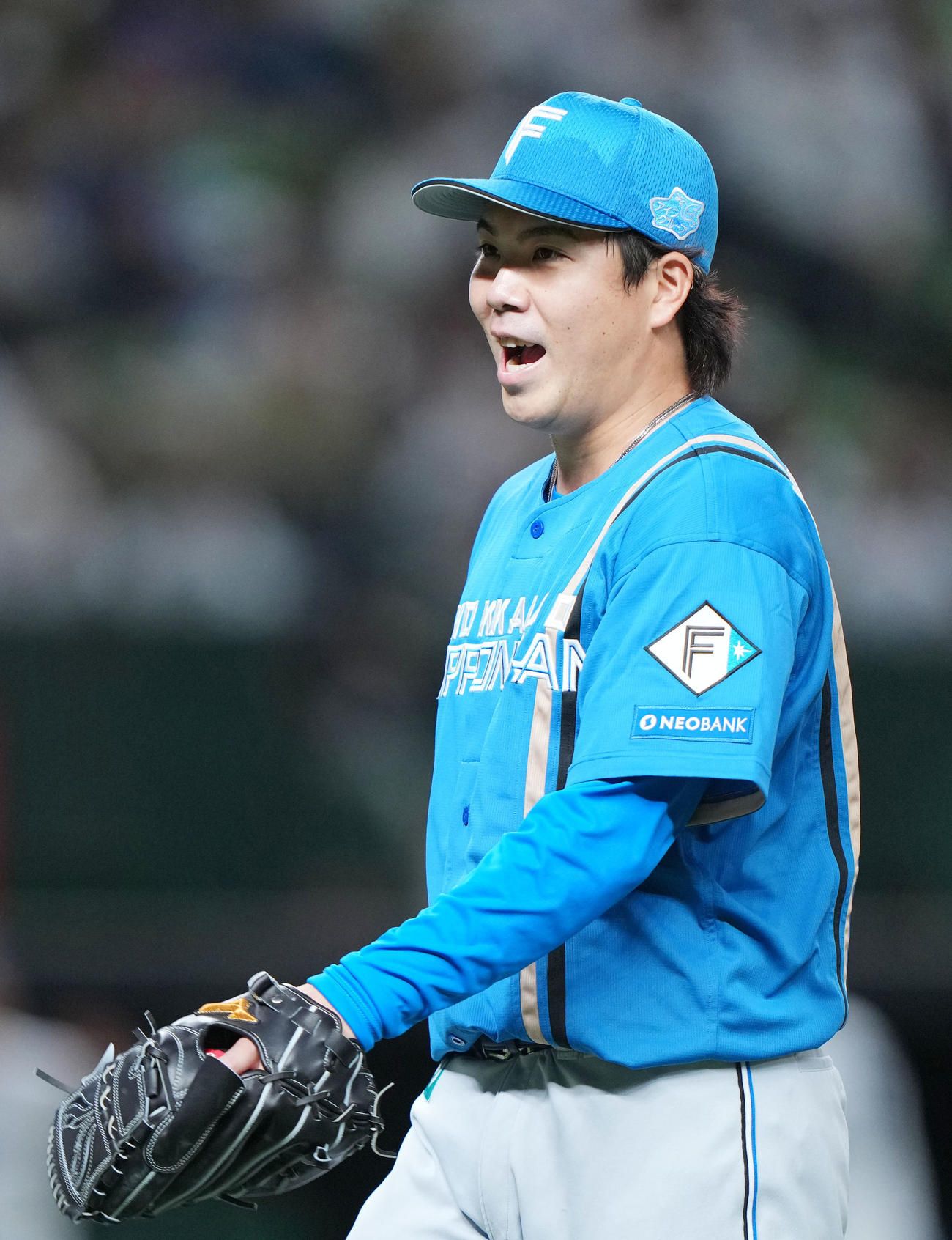 西武対日本ハム　5回裏を無失点に抑え笑顔を見せる日本ハム金村（撮影・横山健太）