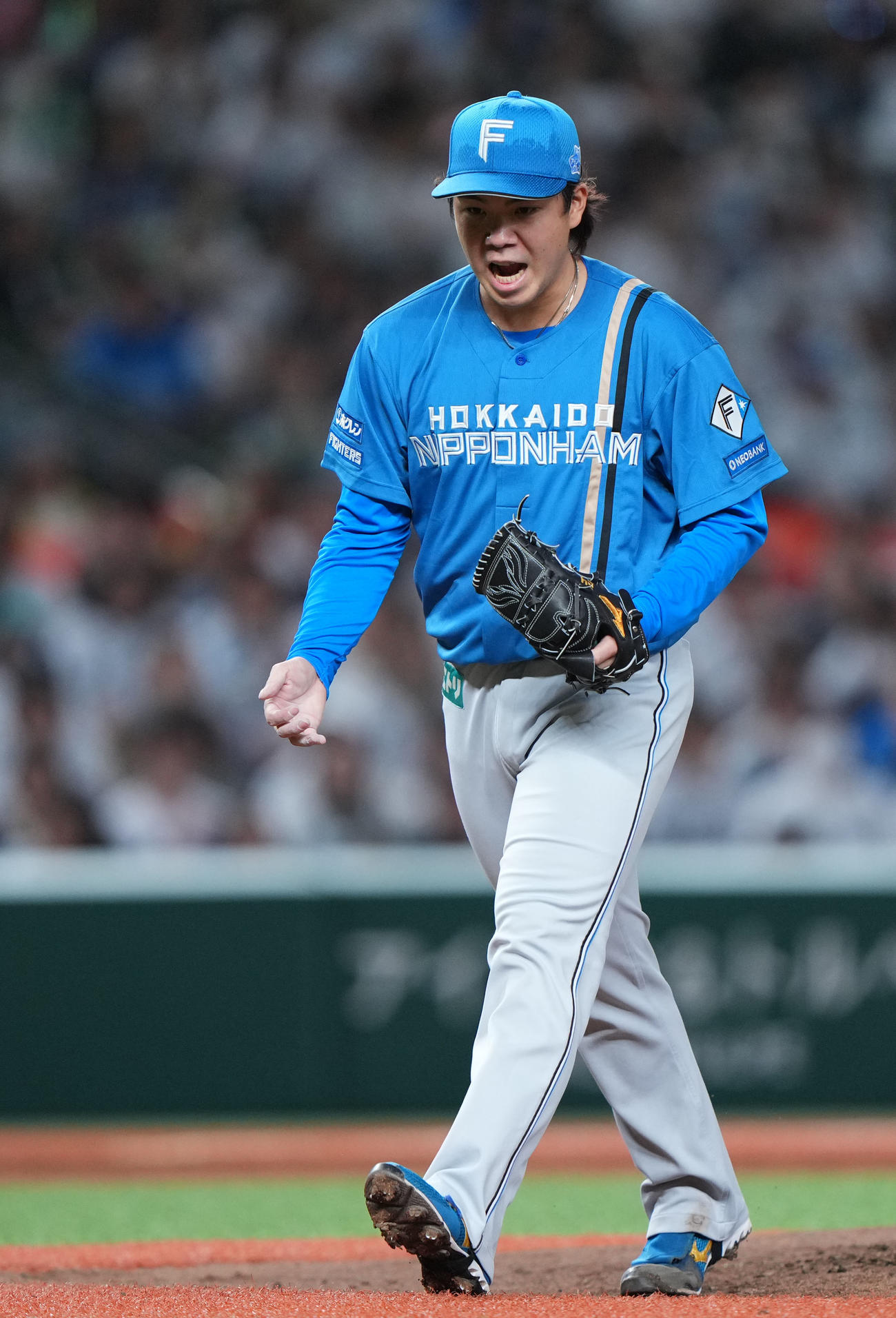 西武対日本ハム　4回裏を無失点に抑えほえる日本ハム金村（撮影・横山健太）