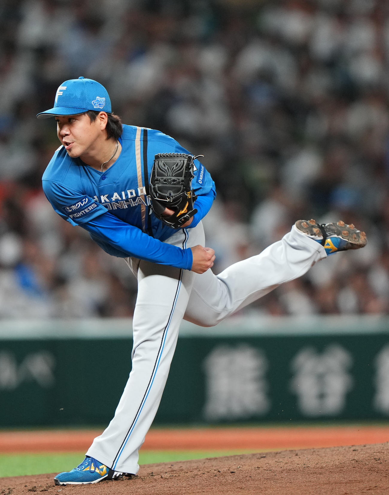 西武対日本ハム　力投する日本ハム先発の金村（撮影・横山健太）