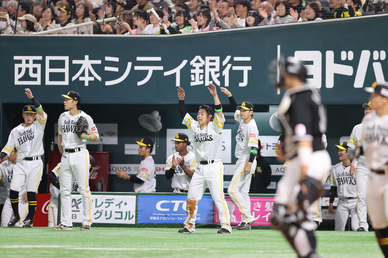 ソフトバンク対ロッテ　3回裏ソフトバンク2死一、三塁、山川の先制となる適時二塁打で盛り上がるベンチのナイン（撮影・梅根麻紀）