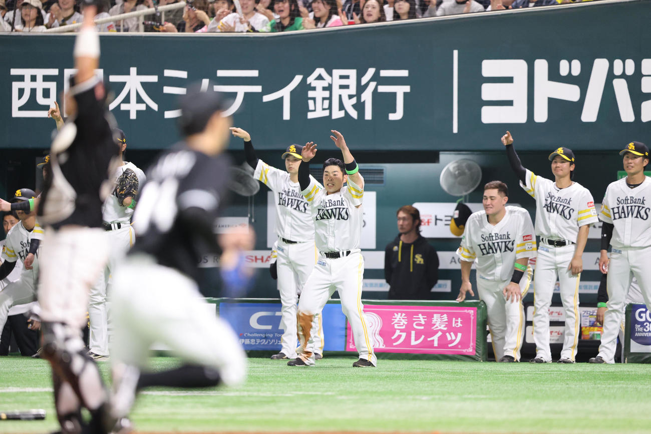ソフトバンク対ロッテ　3回裏ソフトバンク2死一、三塁、山川の先制となる適時二塁打で盛り上がるベンチのナイン（撮影・梅根麻紀）