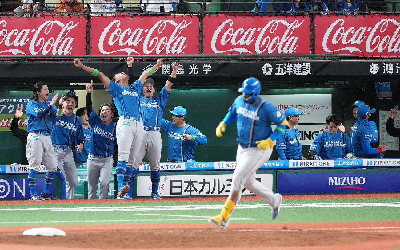 西武対日本ハム　9回表日本ハム2死、レイエス（手前）のソロ本塁打に大喜びの万波（左から4人目）らベンチ（撮影・足立雅史）