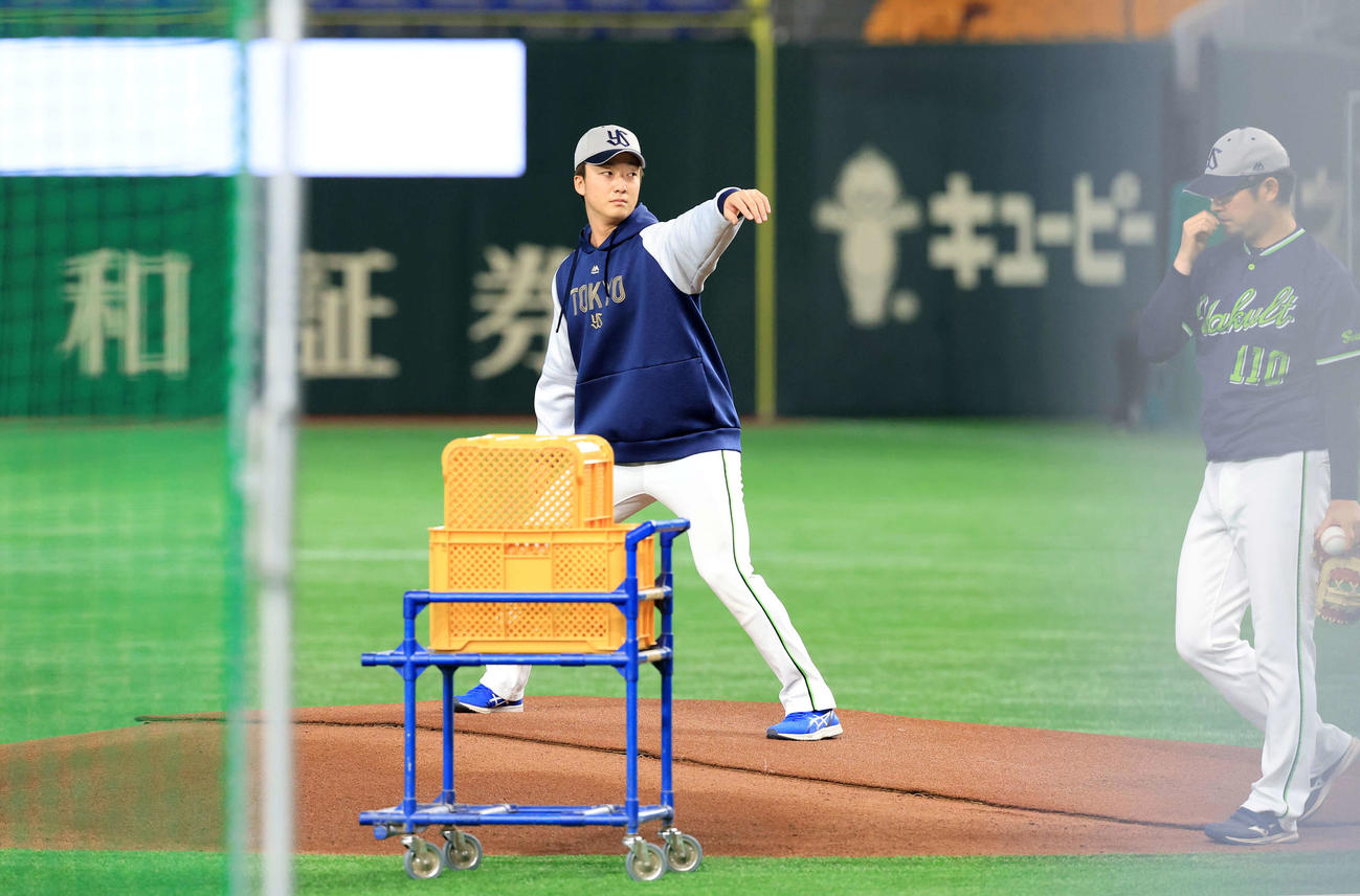 巨人対ヤクルト　マウンド確認するヤクルト吉村（撮影・浅見桂子）