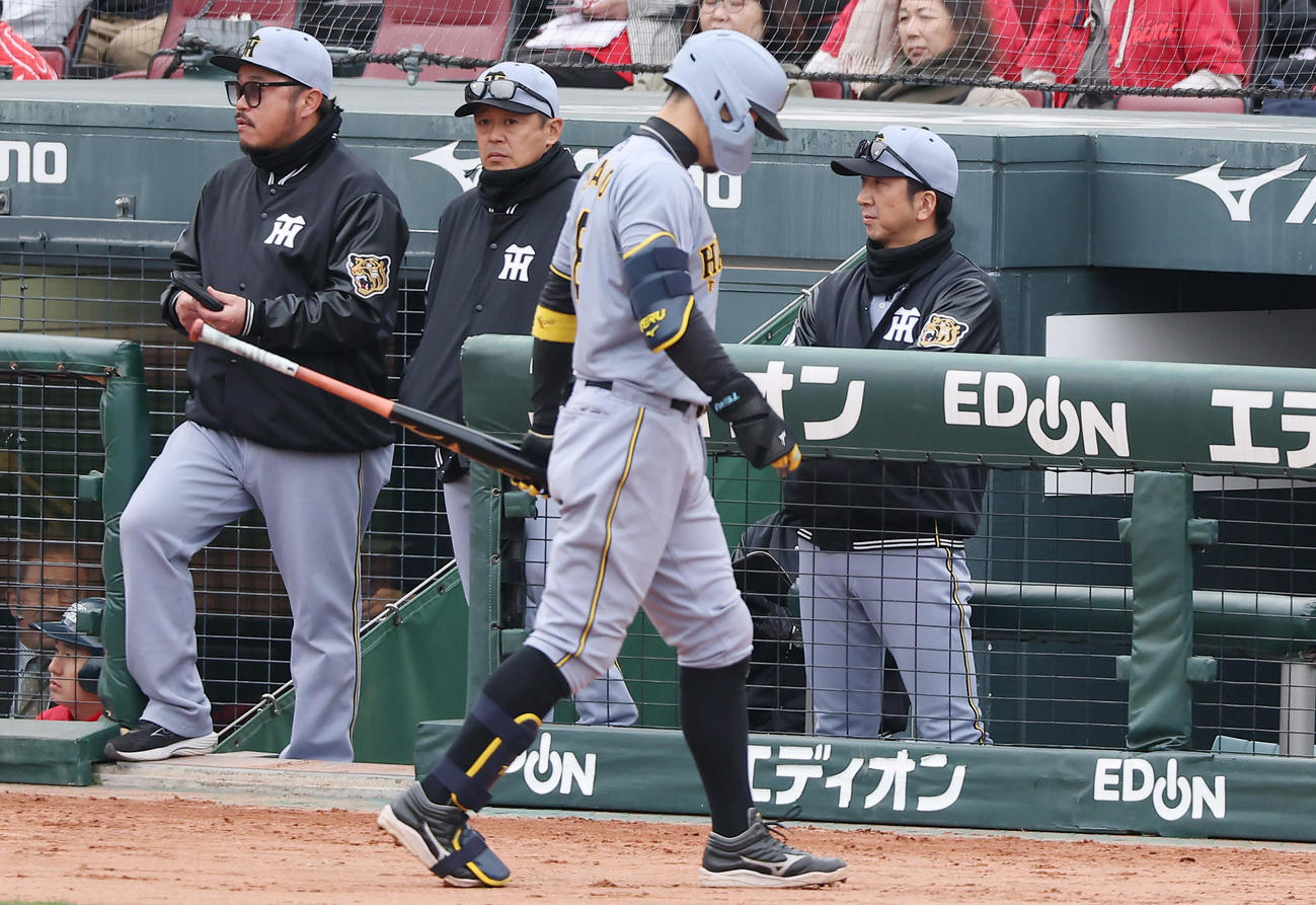 広島対阪神　8回表阪神無死、空振り三振に倒れベンチへ戻る佐藤輝。右は藤川監督（撮影・前田充）