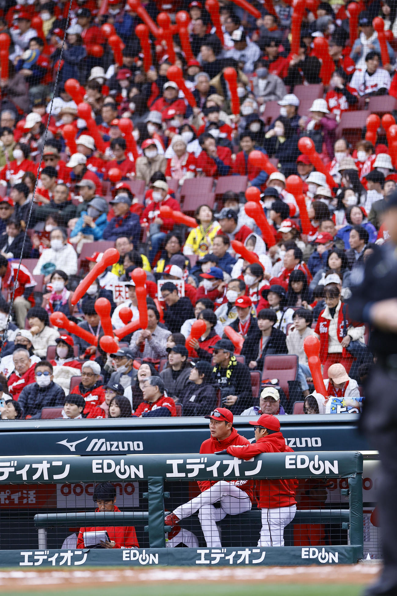 広島対阪神　7回、風船を背に、ベンチでコーチと話しをする広島新井監督（撮影・藤尾明華）