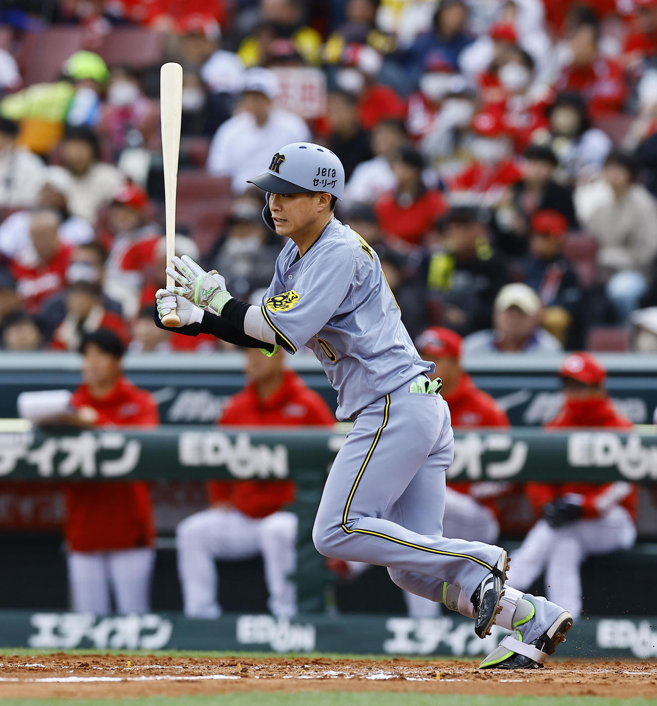 広島対阪神　5回表阪神2死二塁、木浪は中前に同点適時打を放つ（撮影・藤尾明華）