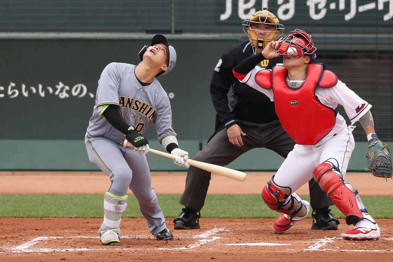 広島対阪神　3回表阪神無死一塁、バントを打ち上げる木浪（撮影・前田充）