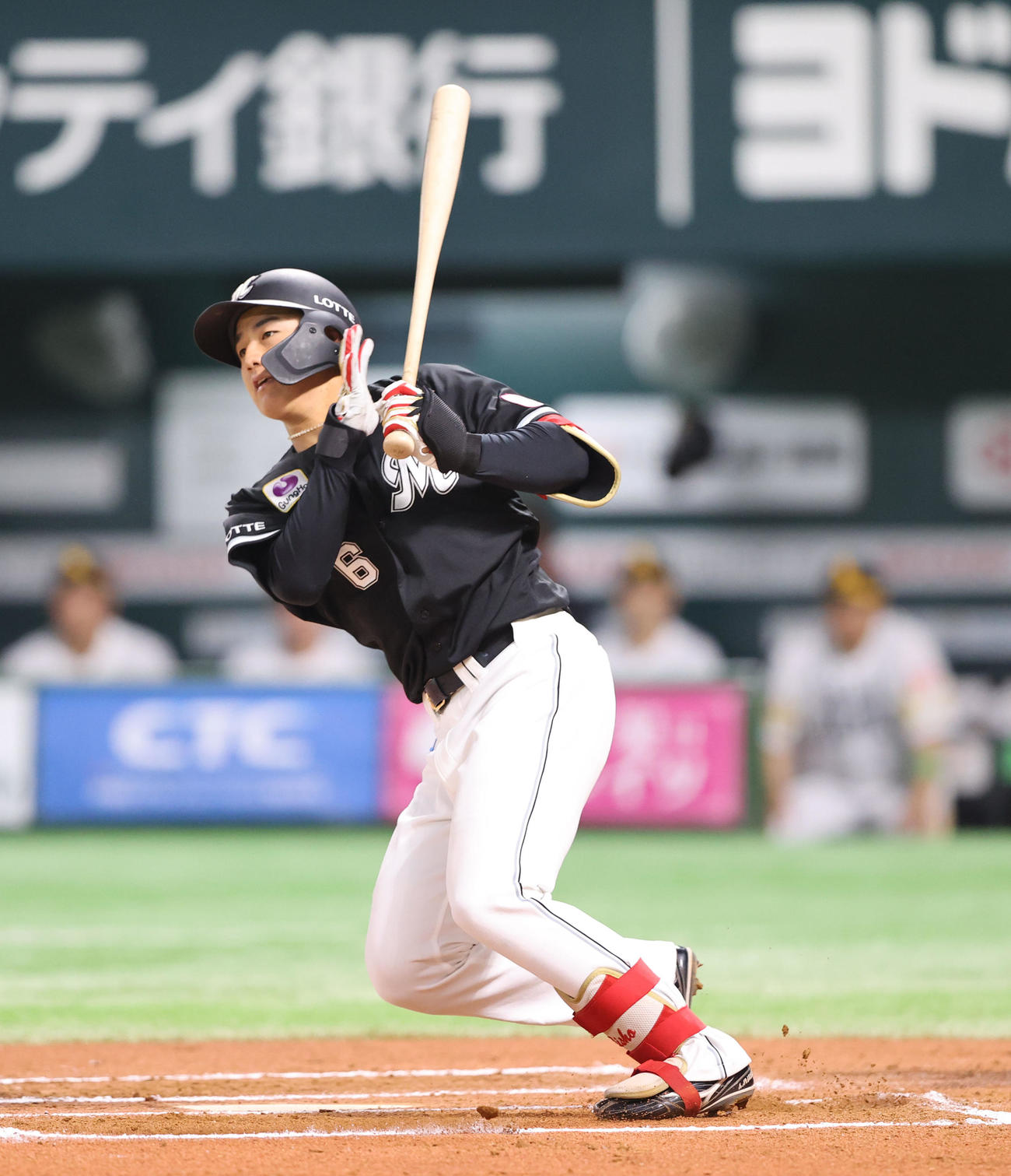 ロッテ西川史礁（2025年3月28日撮影）