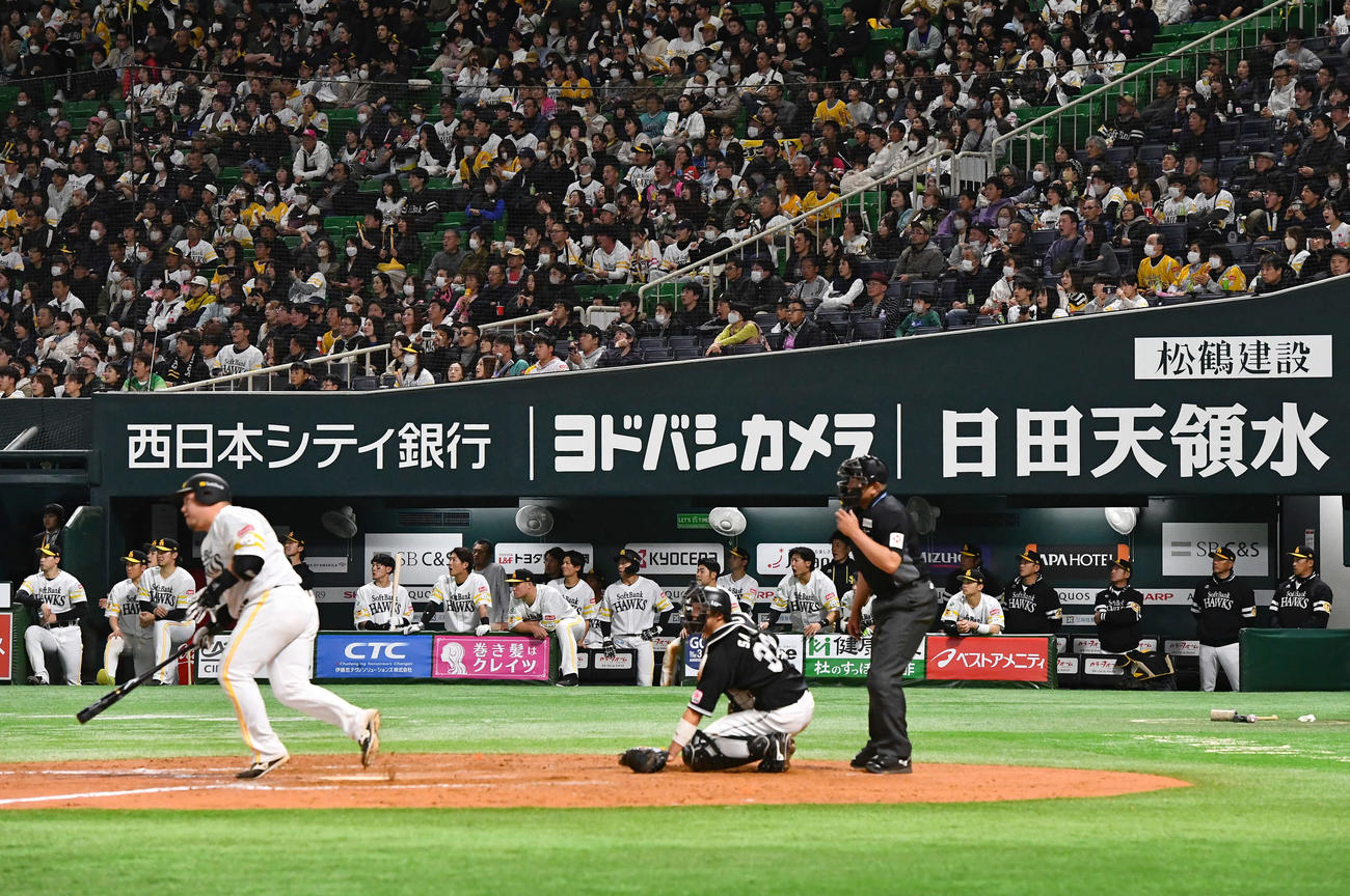 ソフトバンク対ロッテ　9回裏ソフトバンク2死一塁、山川（手前）が中飛に倒れて試合終了となる（撮影・岩下翔太）