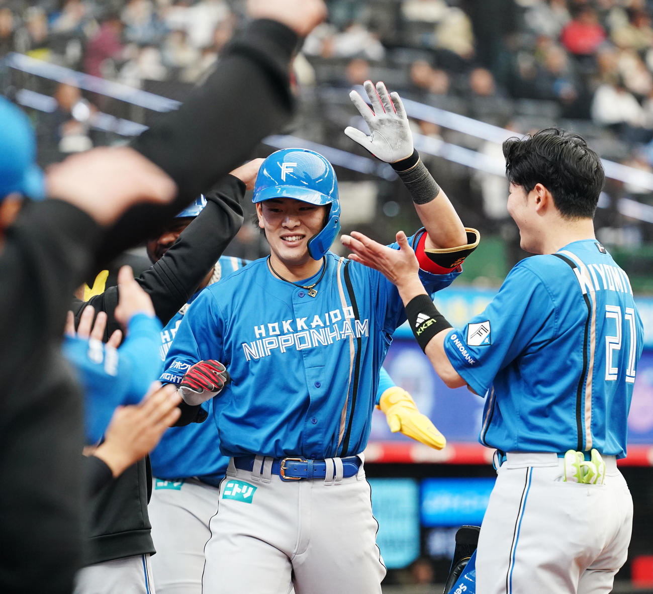 西武対日本ハム　5回表日本ハム2死二塁、左越え2点本塁打を放ちタッチを交わす野村（撮影・横山健太）