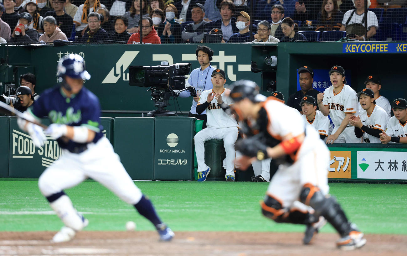 巨人対ヤクルト　9回表ヤクルト2死一、三塁、丸山和〔手前左）が三振に倒れ、プロ初勝利の瞬間拍手する石川（中央）（撮影・浅見桂子）